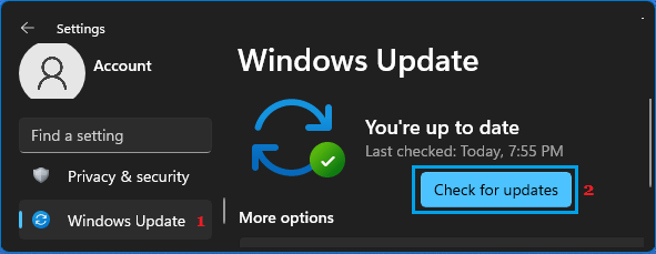 Windows 11の更新プログラムのチェックオプション