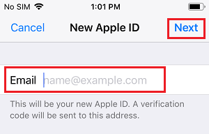 iPhoneで新しいApple IDのメールアドレスを入力する
