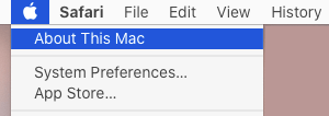 このMacのオプションについて