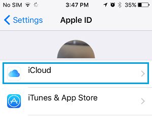 Apple ID画面でのiCloudタブ