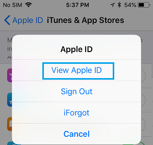 iPhoneでApple IDを表示するオプション