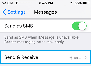 iPhoneのメッセージアプリのオプションでメールの送受信ができるようになりました。 