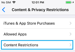 iPhoneのコンテンツ制限の設定オプション