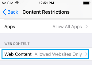 iPhoneのWebコンテンツ制限オプション