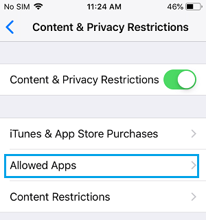 iPhoneで許可されたアプリの設定オプション