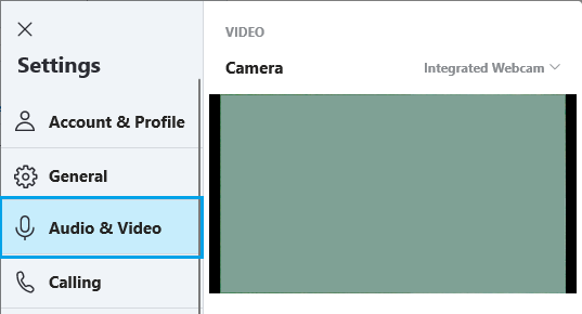 Skypeの音声とビデオの画面
