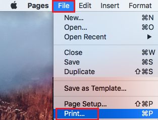 Macメニューのファイルプリントオプション