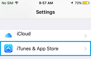 iPhoneの「iTunes」と「App Store」タブ